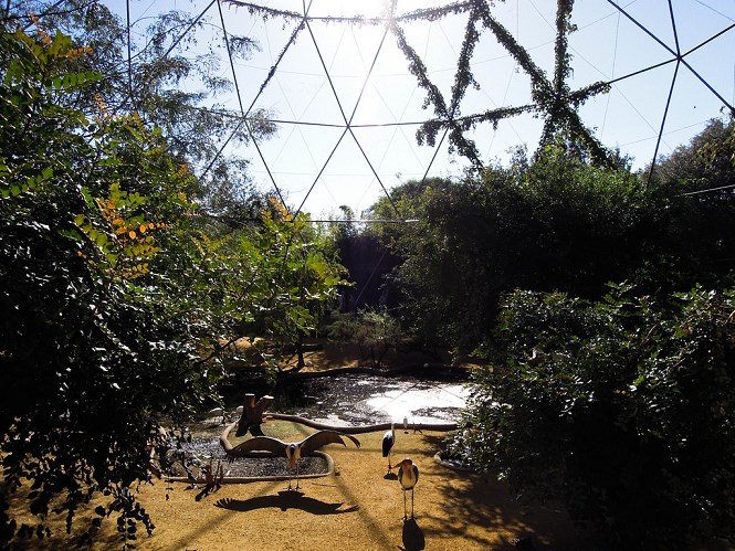 villa borghese zoo Aviary Bioparco