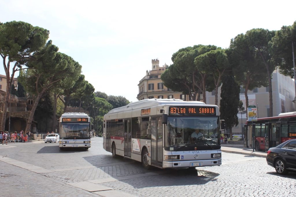 villa borghese zoo rome buses Bioparco