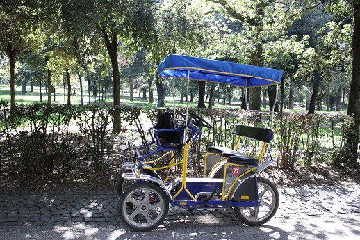 borghese gardens segway tour Electric Paddle cart