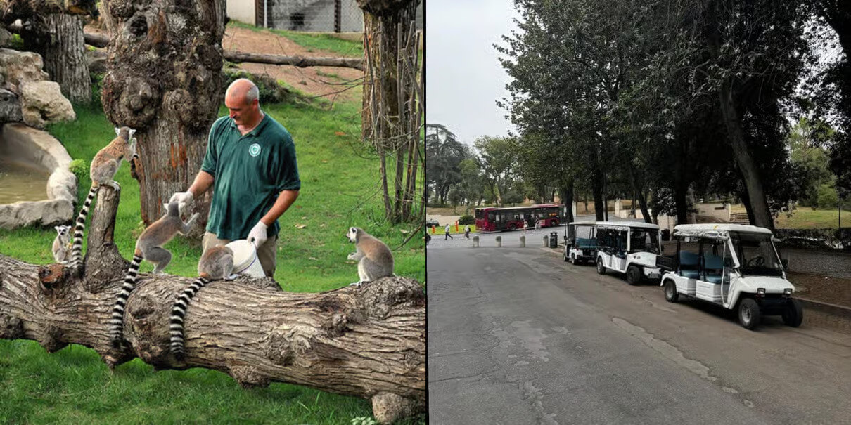 Rome Zoo Entry Ticket + Villa Borghese Golf Cart Tour
