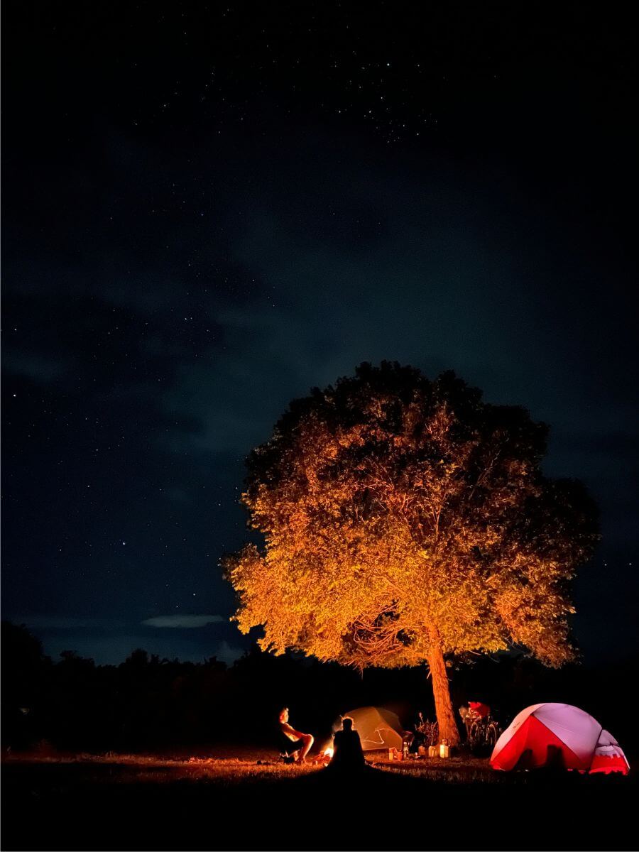 Two campers sitting by a campfire at night beside glowing tents, with a large tree lit orange under a starry sky