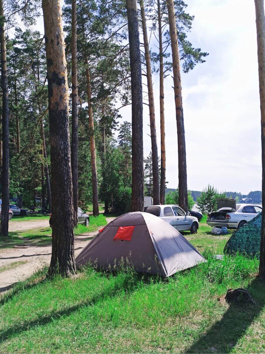 Dome tent among tall pine trees at a campsite with parked cars nearby